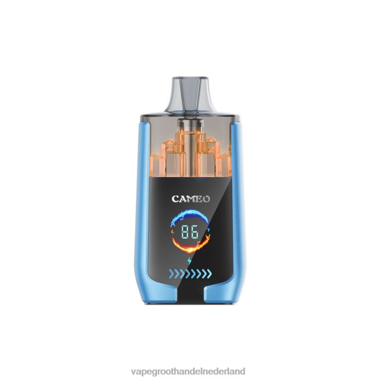 LAVIE CAMEO 30.000 trekjes 60LDV13 | Vape Groothandel Inkoop aardbeien ijs