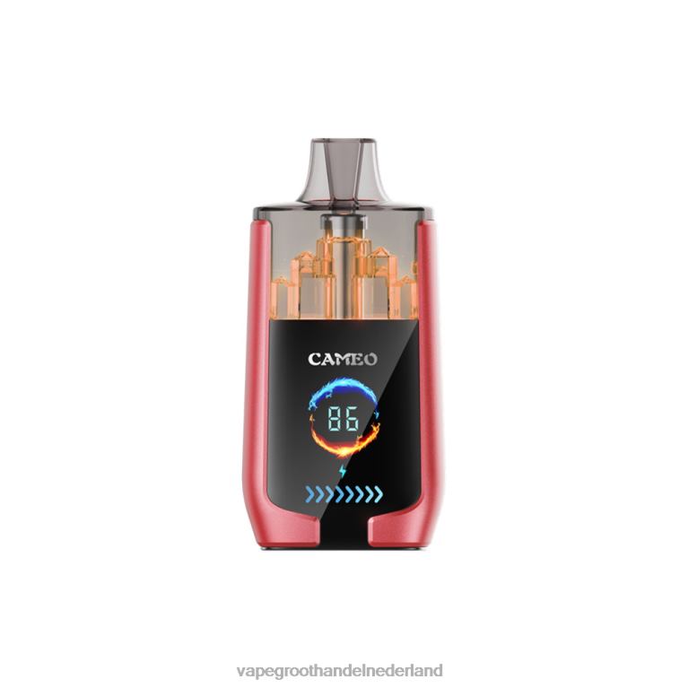 LAVIE CAMEO 30.000 trekjes 60LDV14 | Wegwerpbaar Vape watermeloen ijs