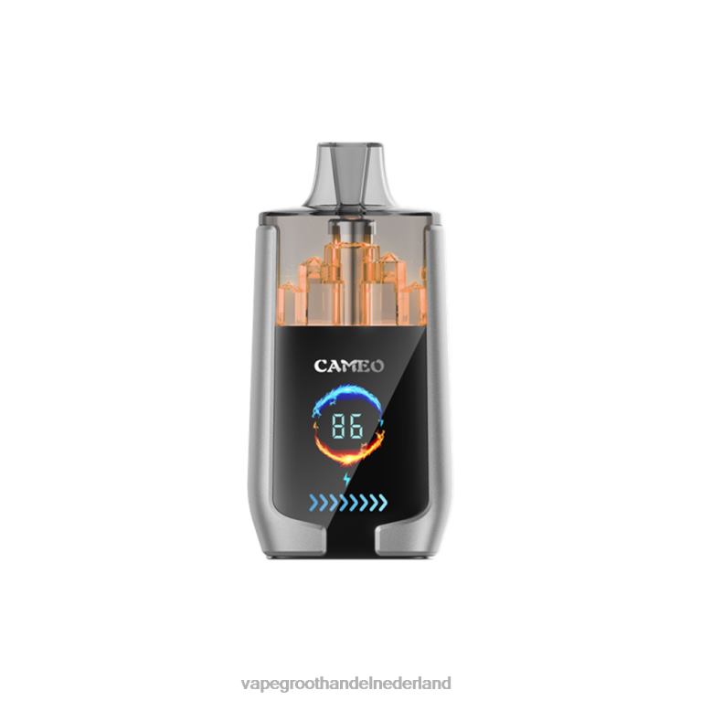 LAVIE CAMEO 30.000 trekjes 60LDV15 | Vape Nederland bosbessen ijs