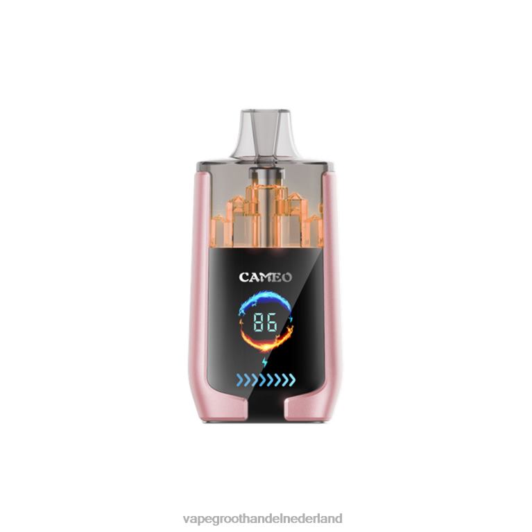 LAVIE CAMEO 30.000 trekjes 60LDV19 | Groothandel Vape Wegwerp tropisch fruit