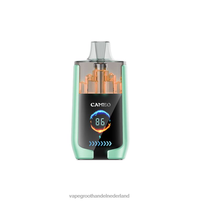 LAVIE CAMEO 30.000 trekjes 60LDV20 | Vape Bestseller dubbele appel