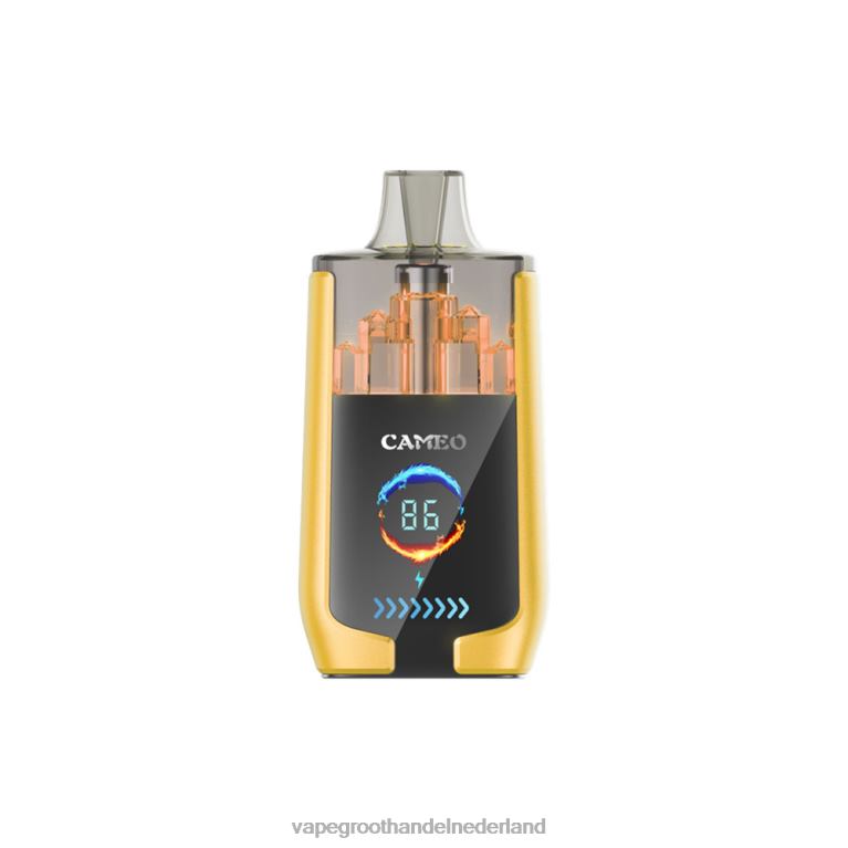 LAVIE CAMEO 30.000 trekjes 60LDV21 | Vape Groothandel Inkoop mango-ijs