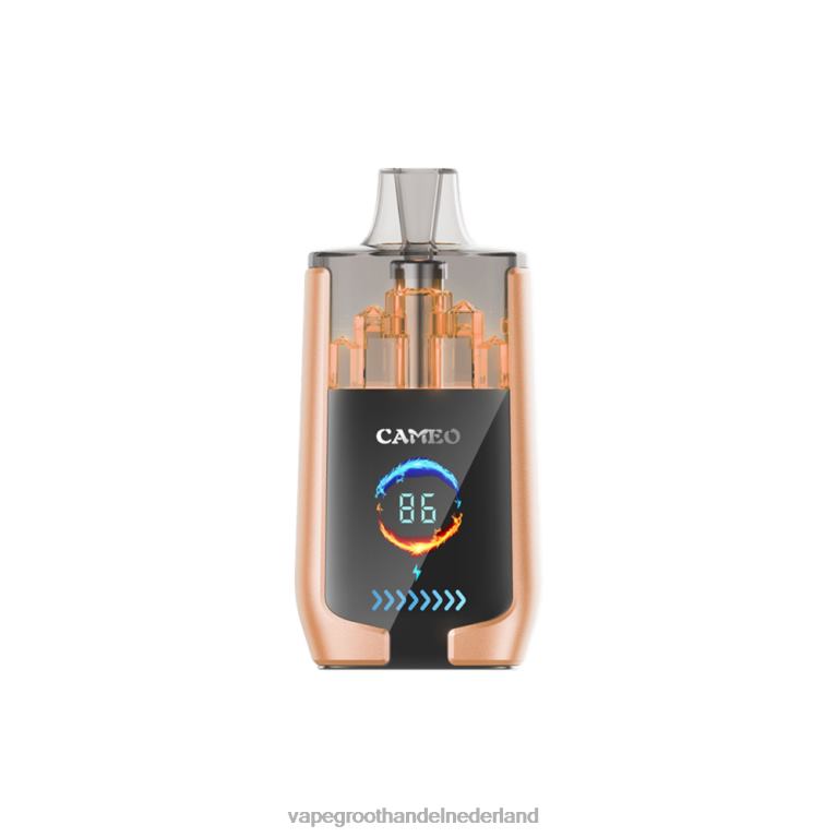 LAVIE CAMEO 30.000 trekjes 60LDV22 | Wegwerpbaar Vape kers