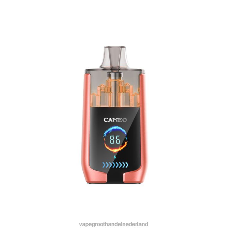 LAVIE CAMEO 30.000 trekjes 60LDV24 | Vape Amsterdam aardbei watermeloen