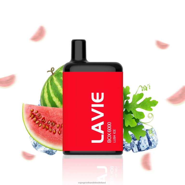 LAVIE BOX 6000 trekjes 60LDV199 | Vape Nederland weelderig ijs