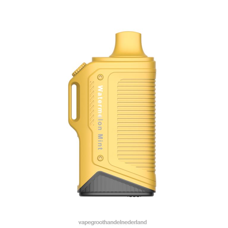 LAVIE Energy Box 15000 trekjes 60LDV70 | Wegwerpbaar Vape watermeloen munt