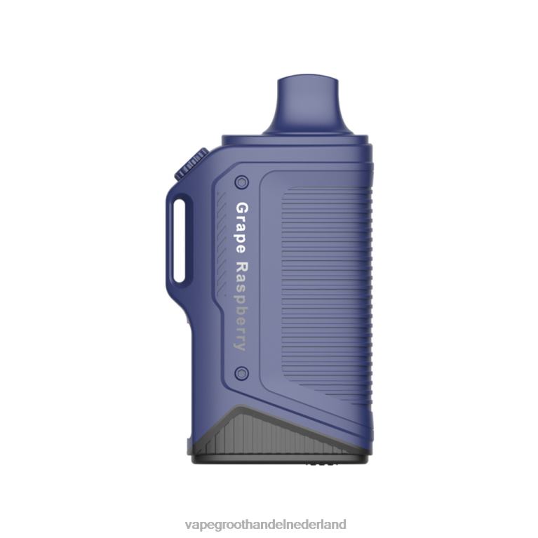 LAVIE Energy Box 15000 trekjes 60LDV77 | Vape Groothandel Inkoop druif framboos