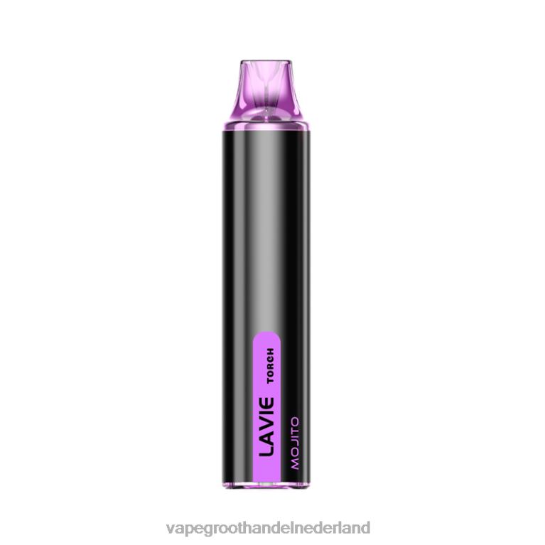LAVIE Torch 6000 trekjes 60LDV133 | Vape Groothandel Inkoop mojito