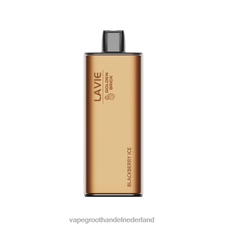 LAVIE GOLDEN BRICK 10000 trekjes 60LDV53 | Vape Groothandel Inkoop bramen ijs