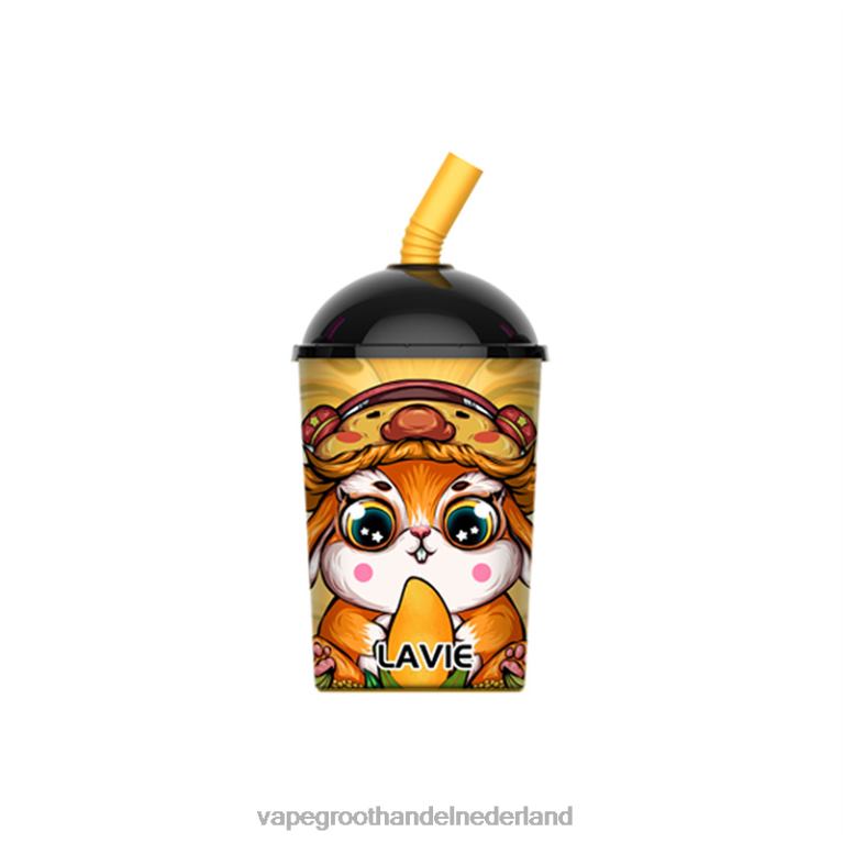 mango-ijs