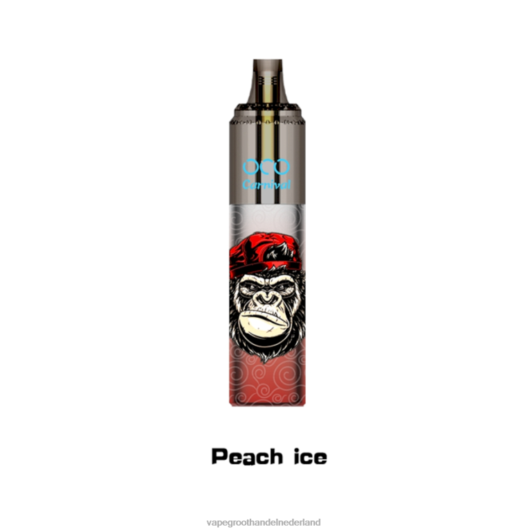 LAVIE OCO Carnaval 10.000 trekjes 60LDV355 | Groothandel Vape Wegwerp perzik ijs