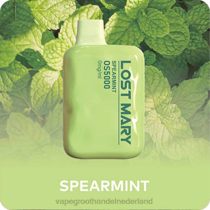 2NRV506 groene munt - wegwerp Vape Groningen LOST MARY OS5000 0mg/ml