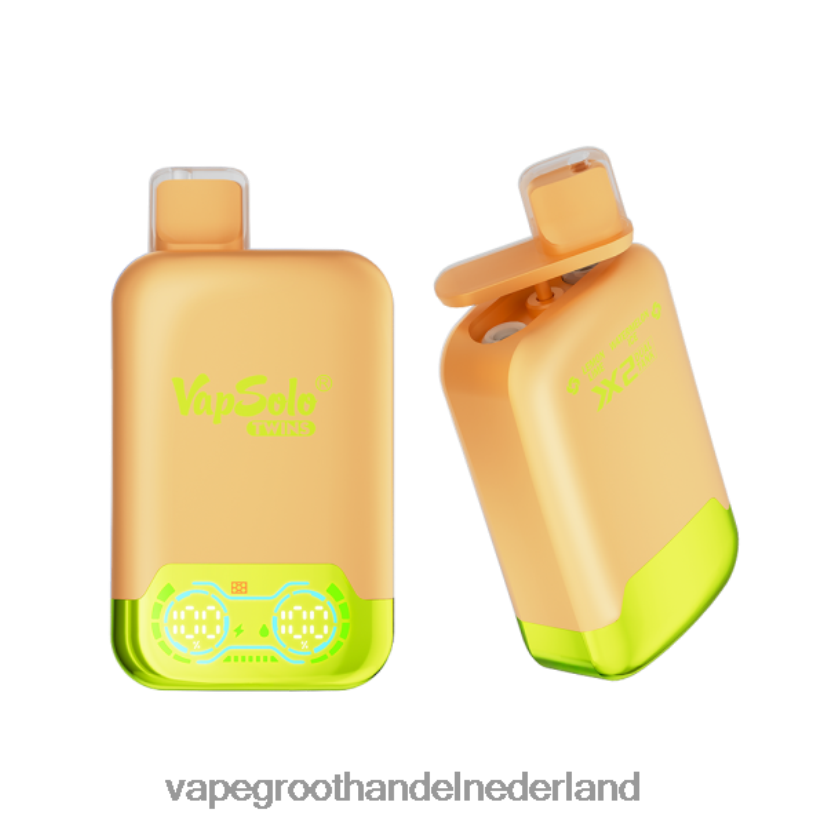 Groothandel Vape Wegwerp 8N08XX123 Vapsolo TWINS wegwerp damp citroen-limoen- en watermeloenijs