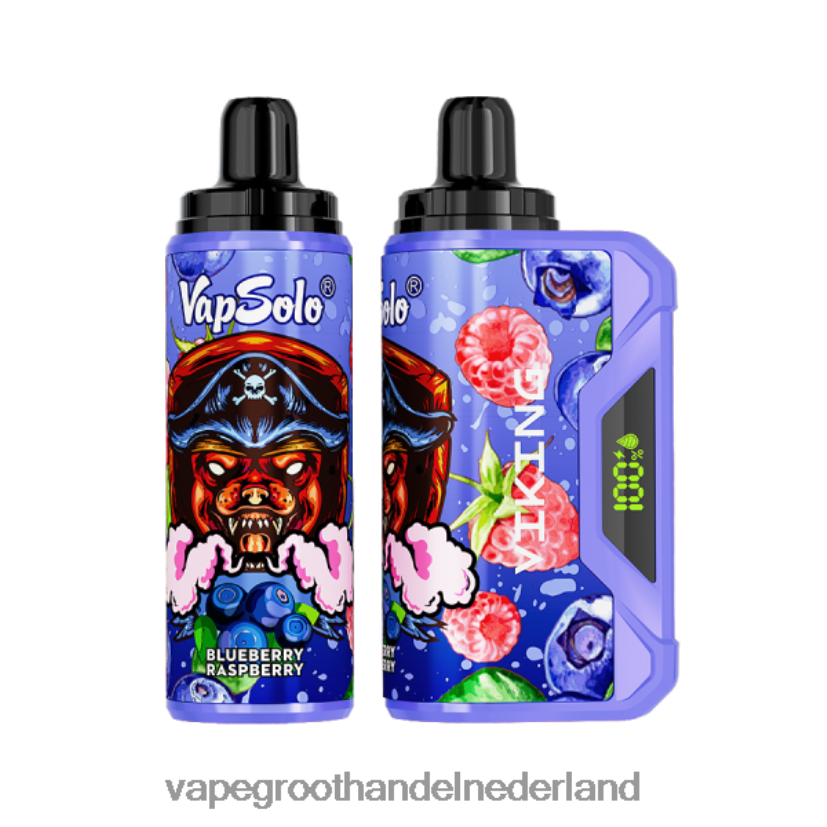 Vape Bestseller 8N08XX132 Vapsolo VIKING wegwerp damp bosbes framboos