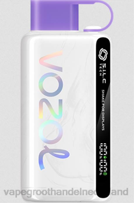 2NRV13 druiven ijs - pod systeem Vape VOZOL STAR 9000/12000 5%