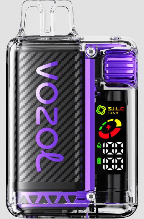 2NRV11 gemixte bessen - wegwerpbaar Vape VOZOL VISTA 16000/20000 5%